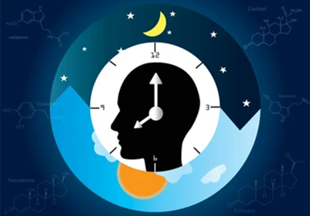 Nutrition Icon